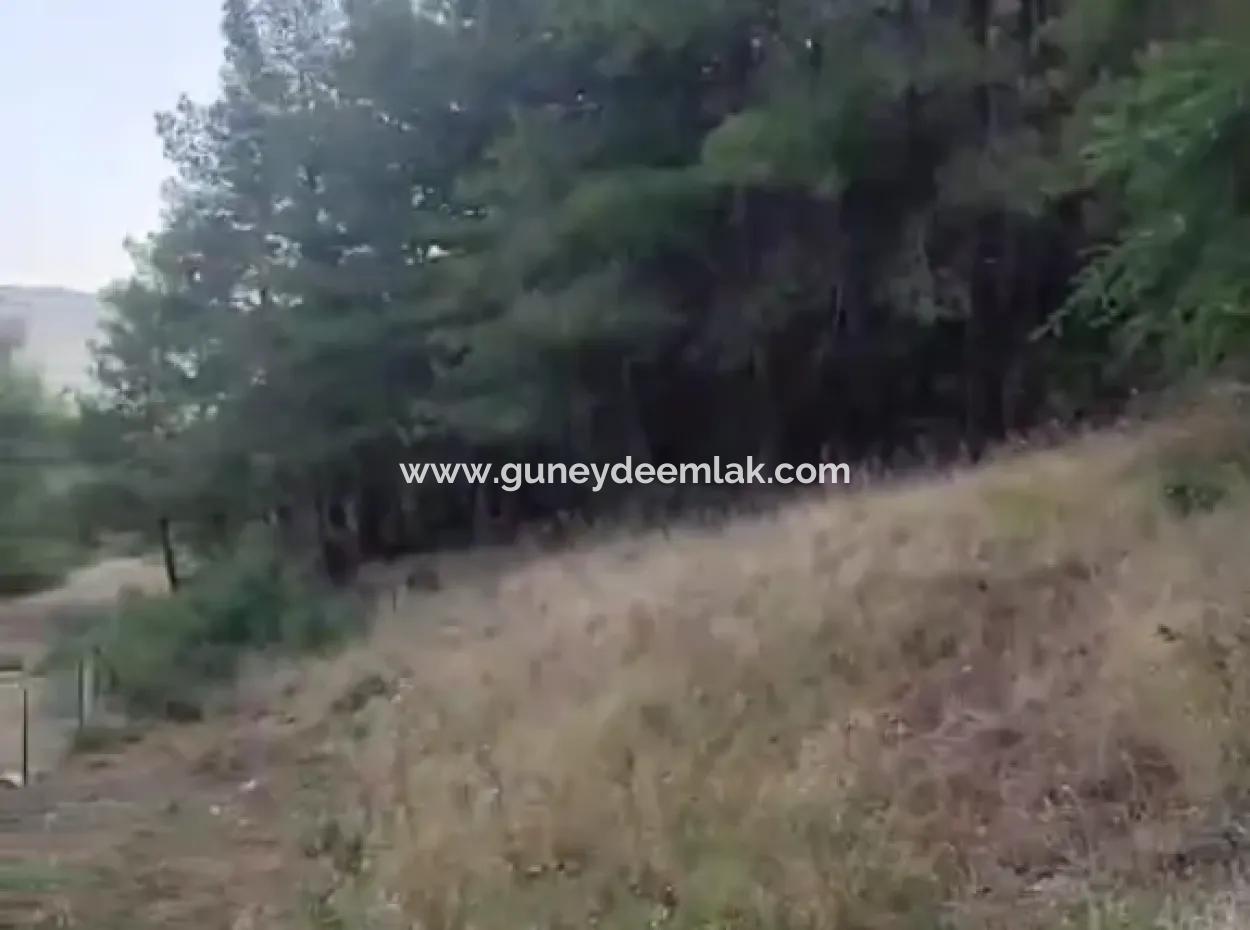 Muğla Ula Çiçek Main Road Im Grünen 2.500 2 Freistehendes Grundstück Mit Eigentumsurkunde Zum Verkauf.