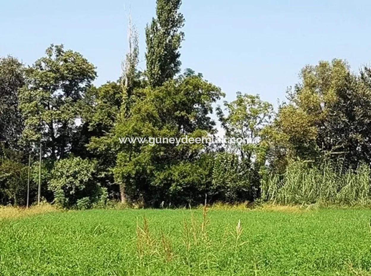 Schnäppchen-Grundstück Zu Verkaufen In Archer