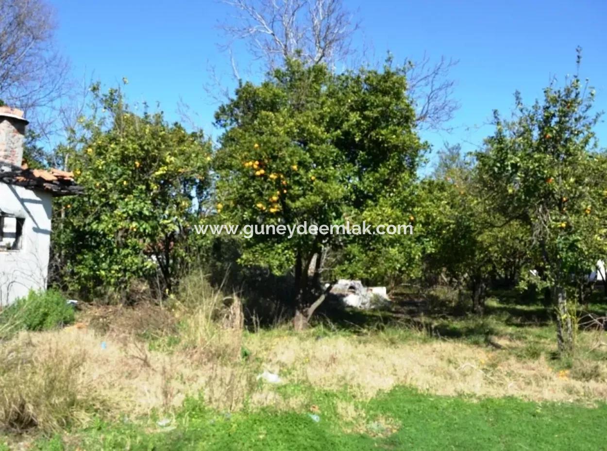 Schnäppchen Haus Im Dorf Zum Verkauf In Bogenschützen Oriya