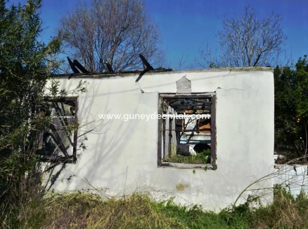 Schnäppchen Haus Im Dorf Zum Verkauf In Bogenschützen Oriya