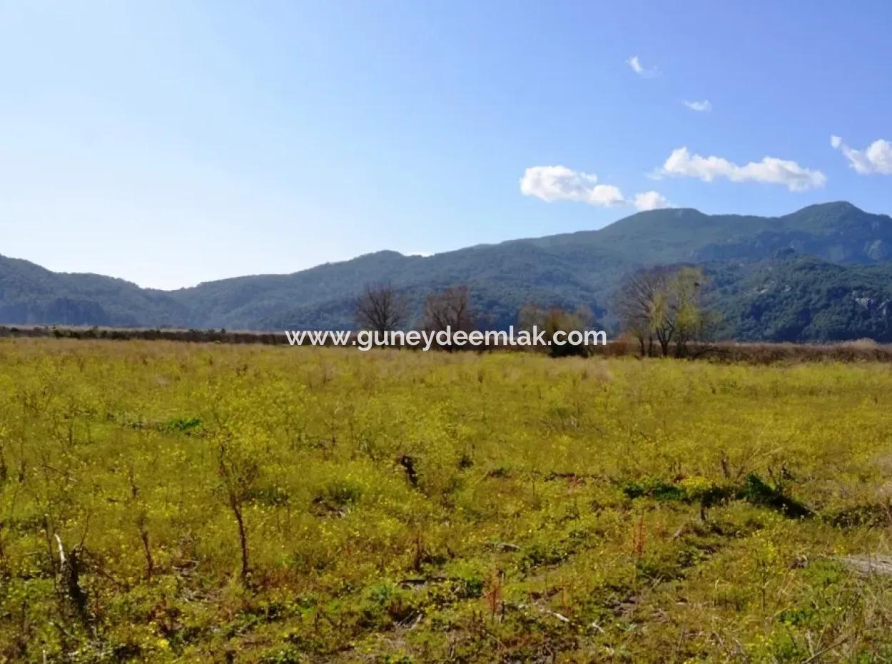 Bauernhof Zum Verkauf Schnäppchen In Dalyan
