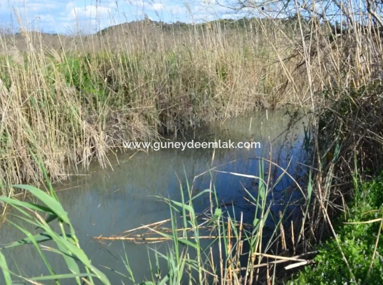 Bauernhof Zum Verkauf Schnäppchen In Dalyan