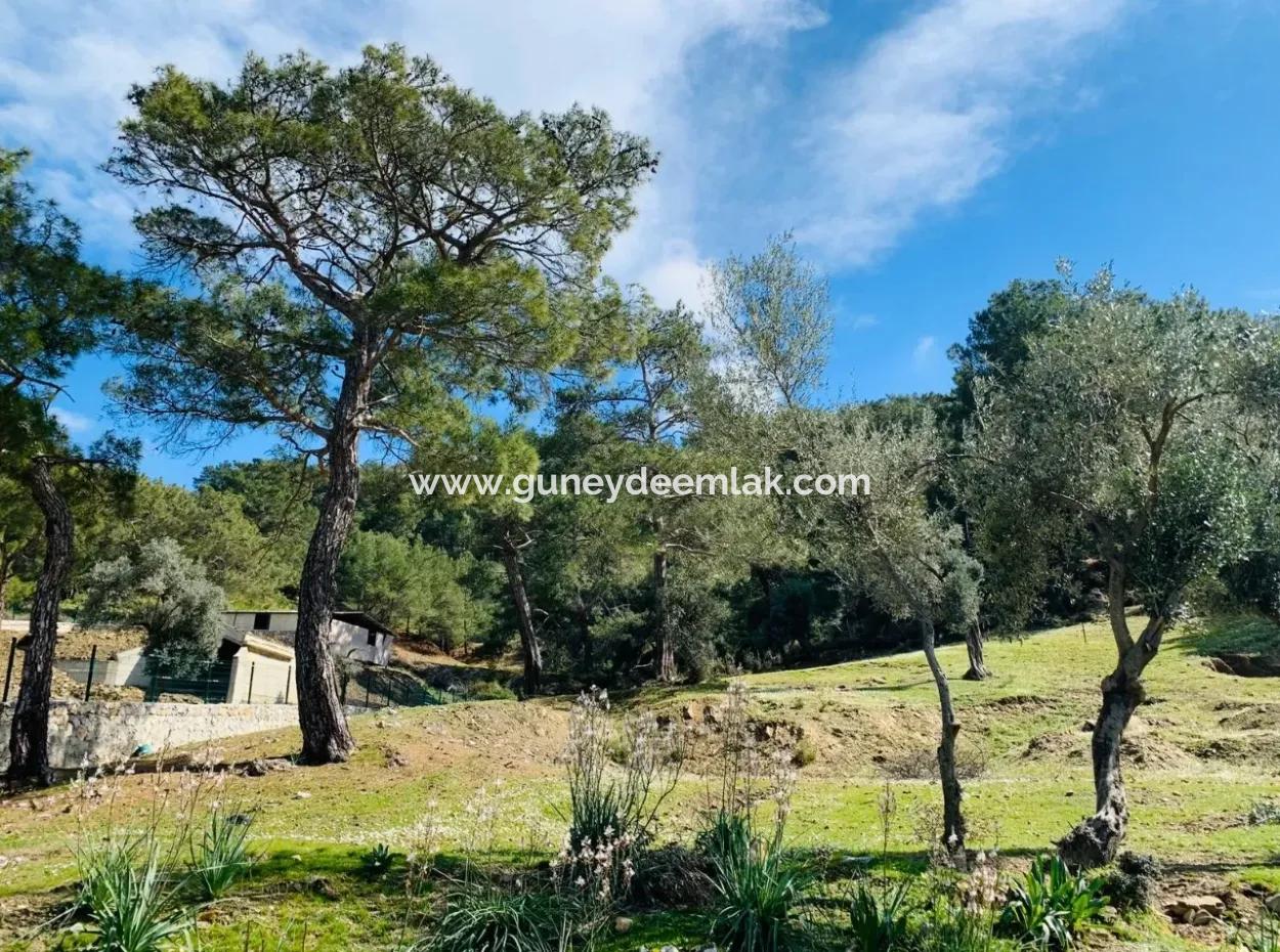 Freistehendes Feld Zu Verkaufen In Ortaca Gökbel