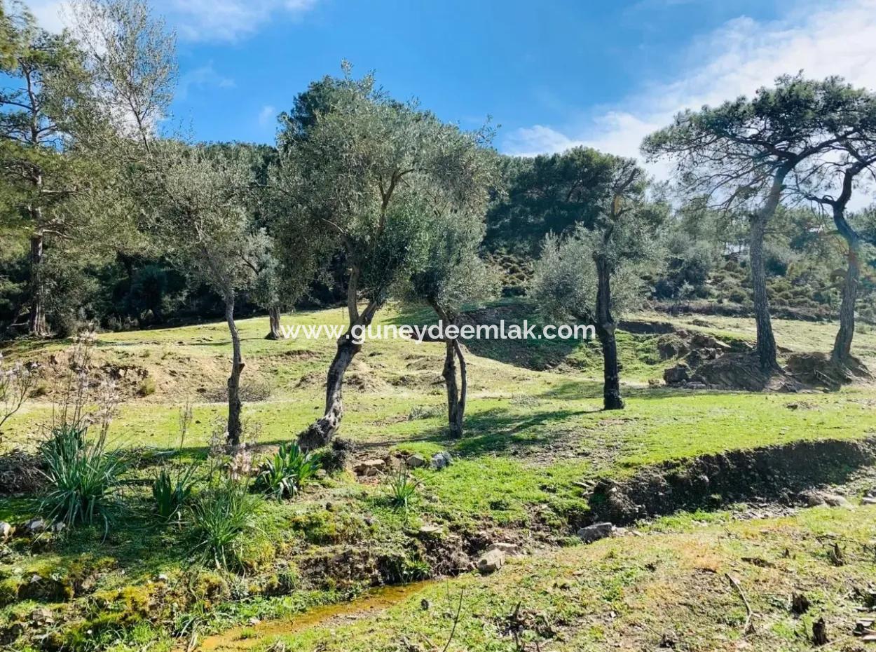 Freistehendes Feld Zu Verkaufen In Ortaca Gökbel