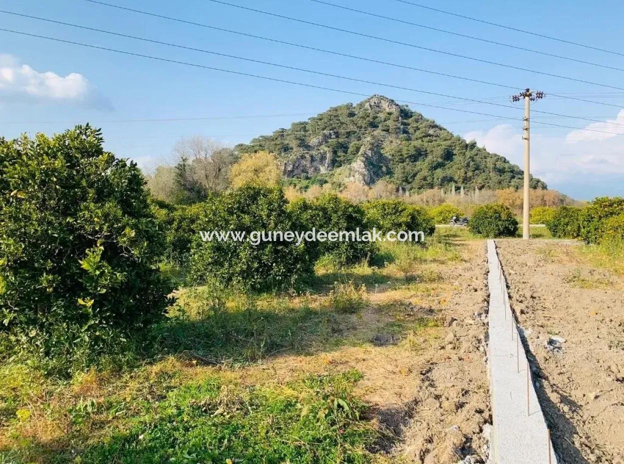 830 M2 Grundstück Zum Verkauf Schnäppchen In Dalyan