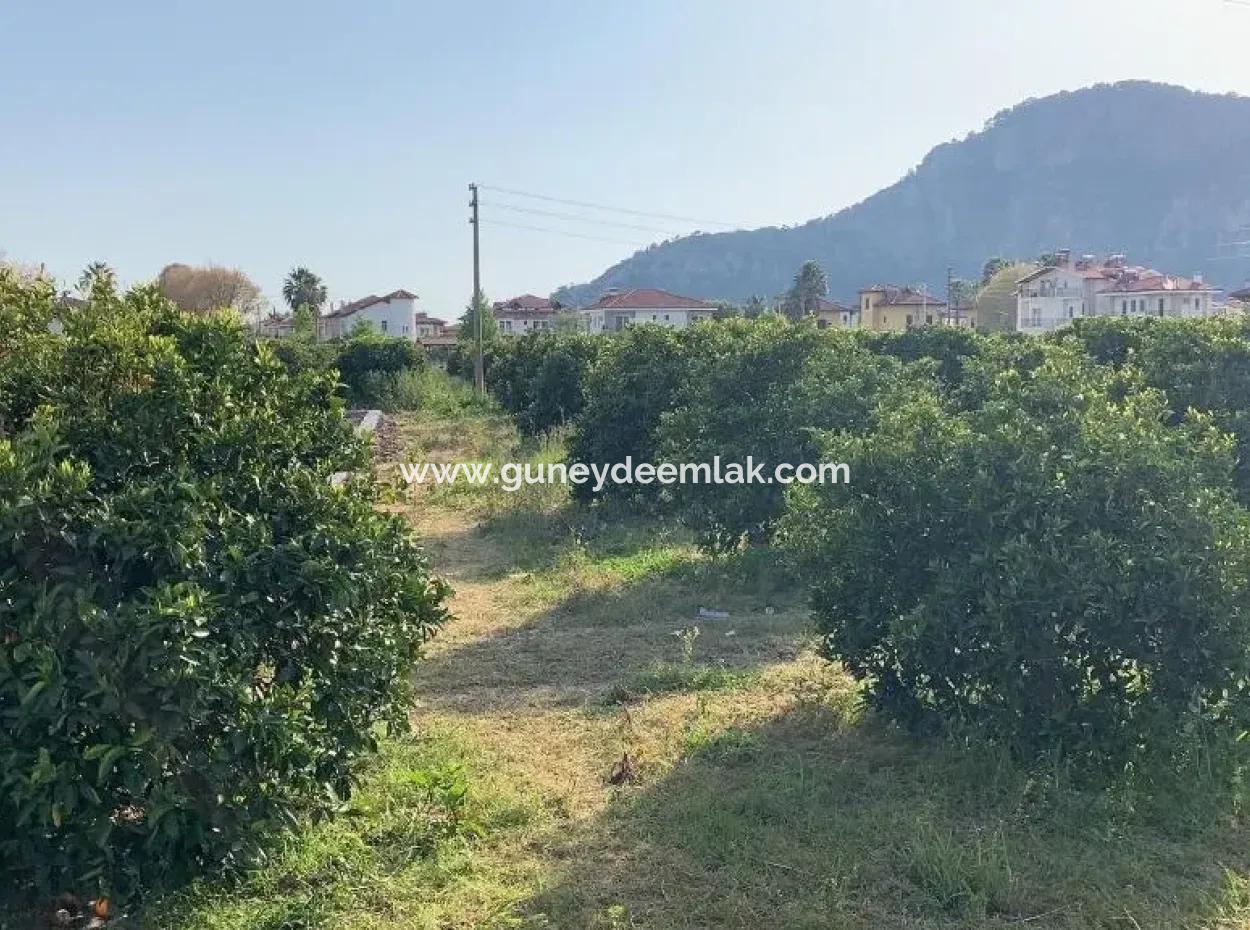 830 M2 Grundstück Zum Verkauf Schnäppchen In Dalyan