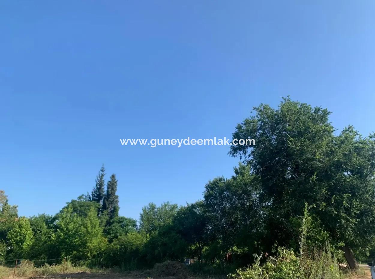 Villa-358 M2 Grundstück Zum Verkauf In Oriya Auch