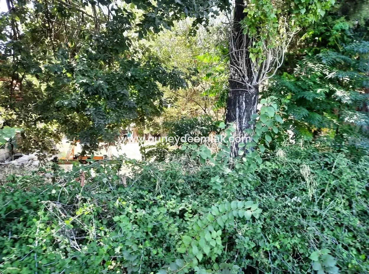 Null Land Zum Verkauf Auf Ortaca Gefärbt