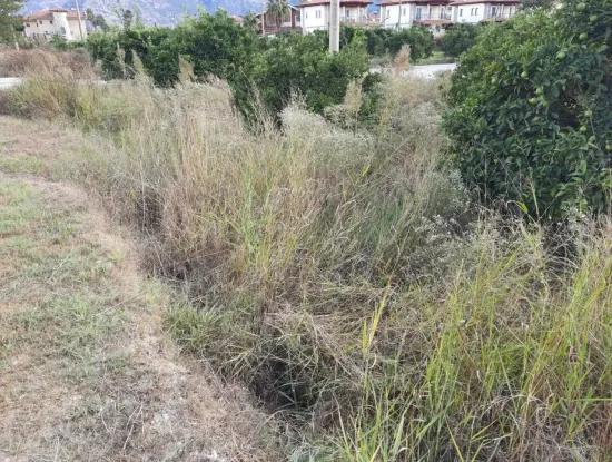 Mugla Dalyan Schnäppchen Zoning Land Zu Verkaufen