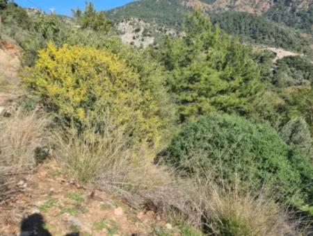 15.000 M² Freistehendes Grundstück Mit Meerblick Zum Verkauf In Fethiye İnlice