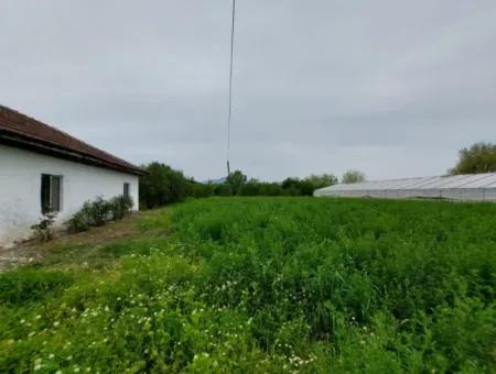 Dorfhaus Und Bauernhof Zum Verkauf Auf 6.650 M² Fruchtbarem Land In Muğla Köyceğiz Pappel