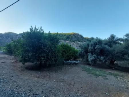 1.300 M2 Freistehendes 250M2 Wohngrundstück Zum Verkauf In Muğla, Ortaca, Karadonlar