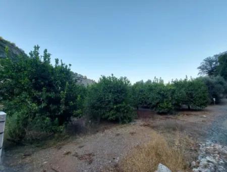 1.300 M2 Freistehendes 250M2 Wohngrundstück Zum Verkauf In Muğla, Ortaca, Karadonlar