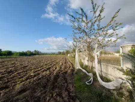 Muğla Ortaca, Dalaklı 2.000 M2, 400 M2 Wohngrundstück Zum Verkauf Mit Baurecht