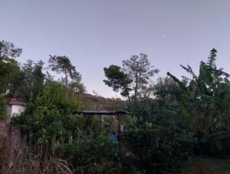 350 M2 Freistehendes Tiny House Geeignetes Grundstück Zum Verkauf In Ortaca Çaylı
