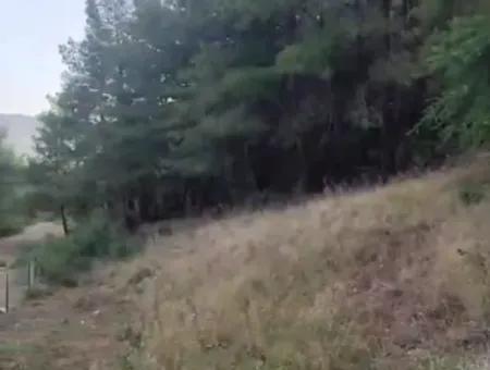 Muğla Ula Çiçek Main Road Im Grünen 2.500 2 Freistehendes Grundstück Mit Eigentumsurkunde Zum Verkauf.