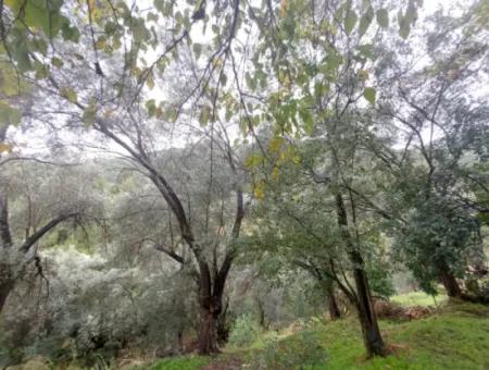 Dorfhaus Mit Eigentumsurkunde Zum Verkauf In Der Natur In Muğla Fethiye İnlice