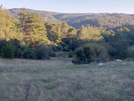 Muğla Ula Kızılyaka 790M2 Schatzkammer Das Landbesitzrecht Wird Übertragen Oder Das Fahrzeug Wird Ausgetauscht