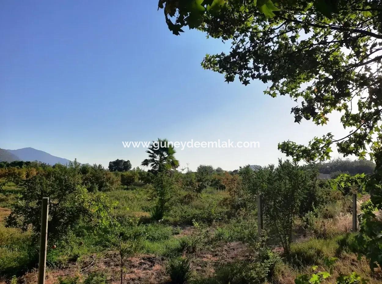 Land Suitable For Investment For Sale In Mugla Dalyan Marmarlı