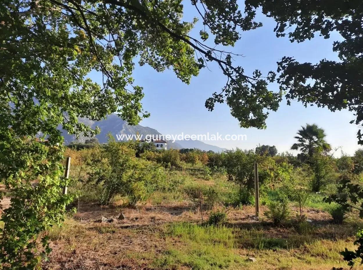 Land Suitable For Investment For Sale In Mugla Dalyan Marmarlı