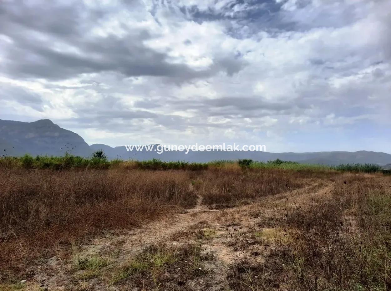 Fertile Land For Sale In Ortaca Eskiköy
