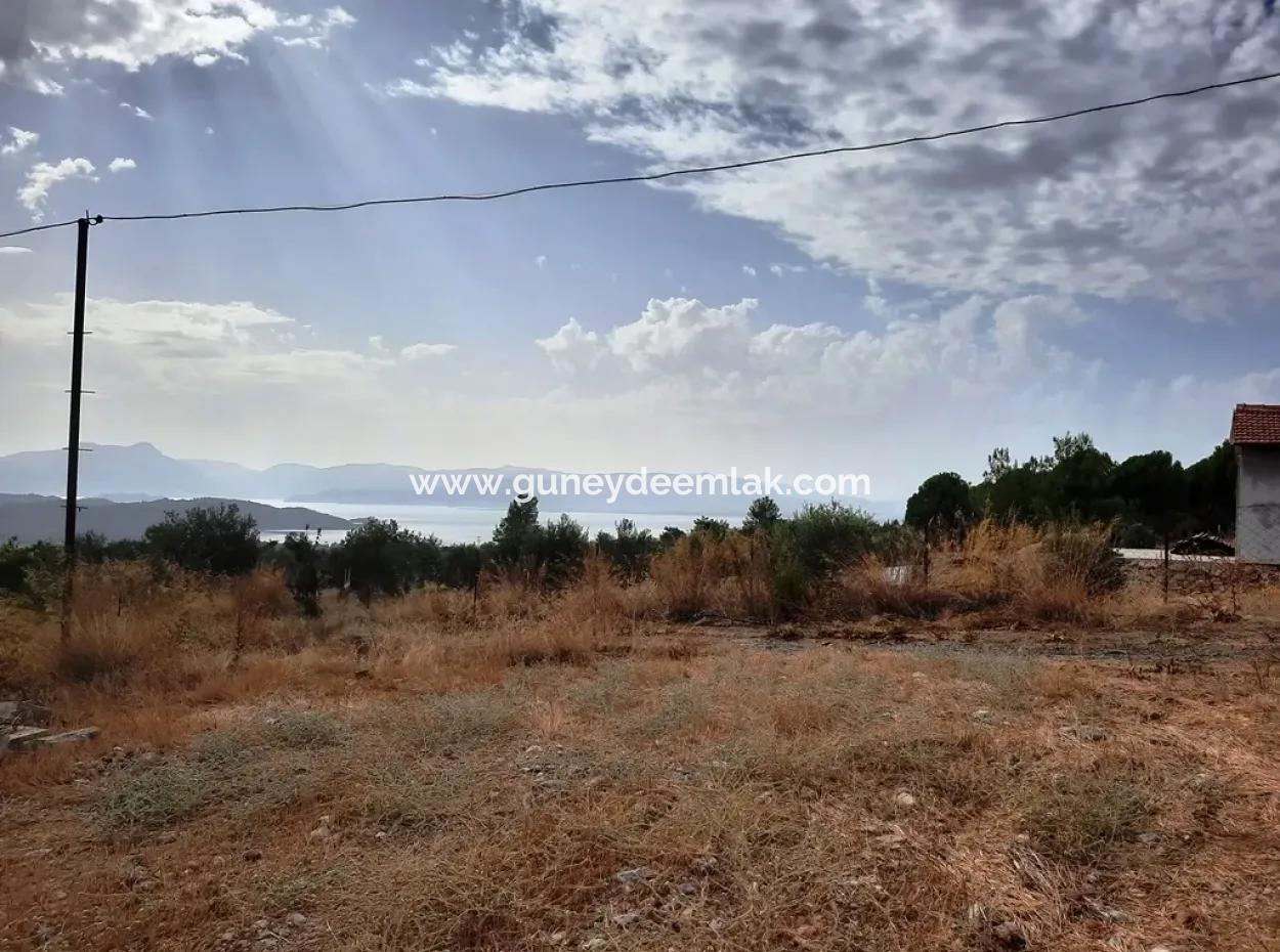 Detached Land With Lake Views For Sale In Köyceeğiz Zeytin Area
