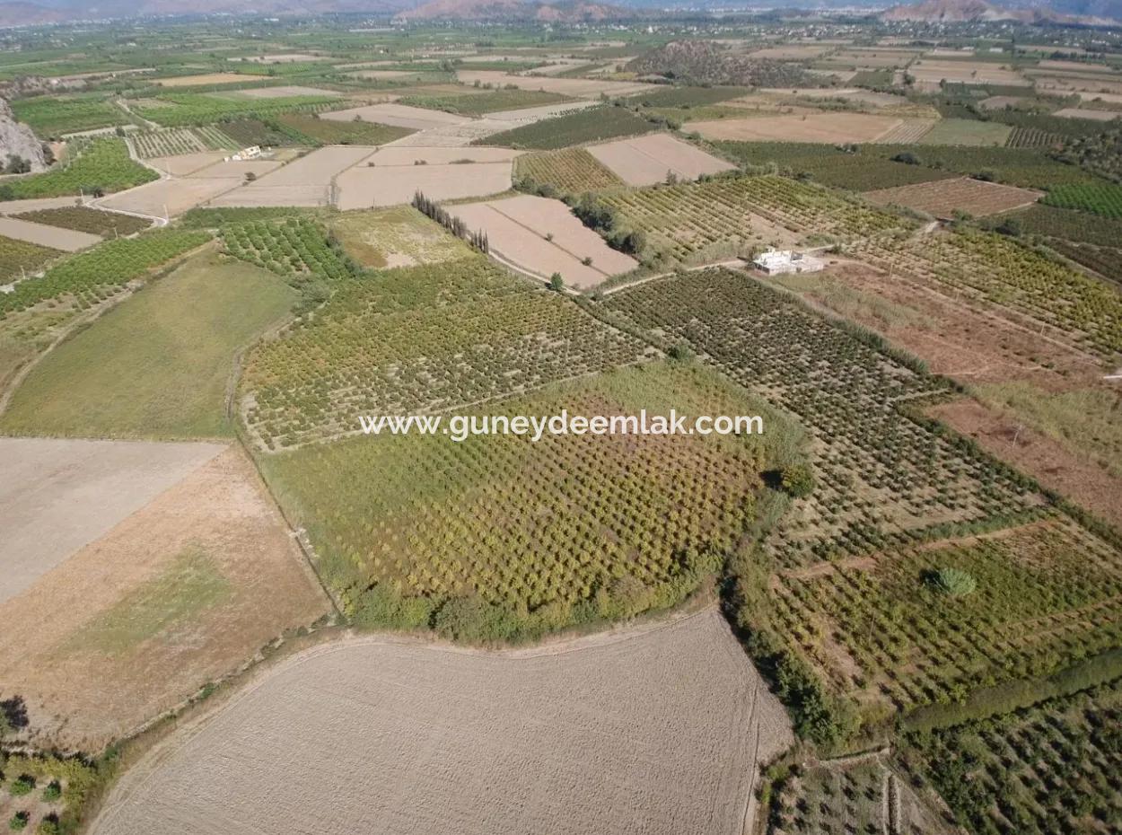 Detached Fertile Bargain Land For Sale In Ortaca Mergenli