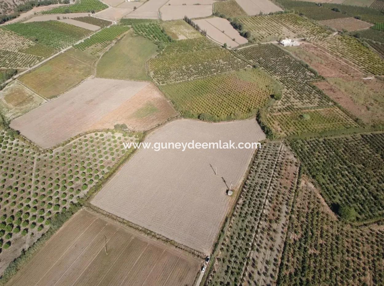 Detached Fertile Bargain Land For Sale In Ortaca Mergenli