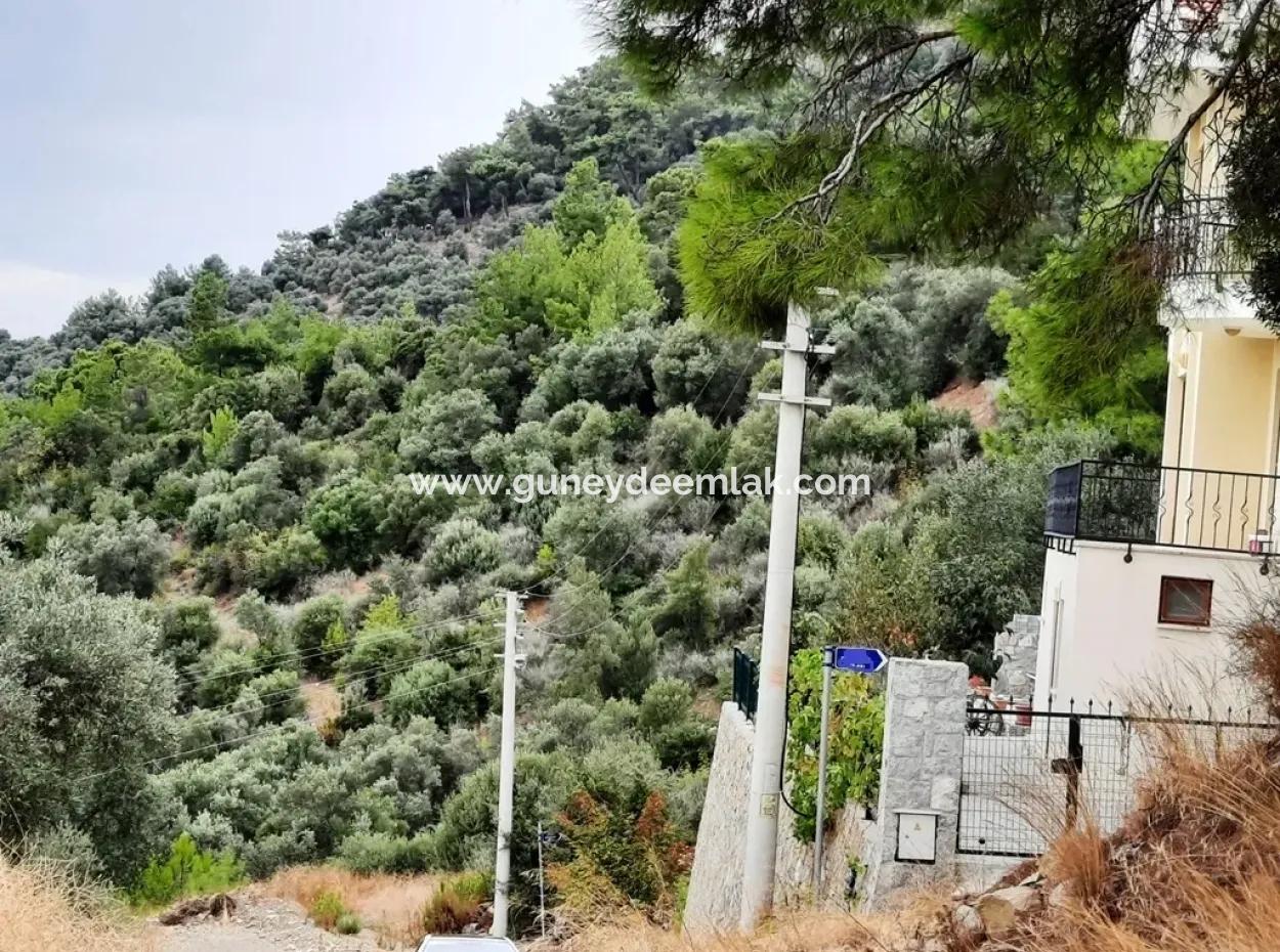 Plots With Sea View For Sale In Sarigerme Muğla