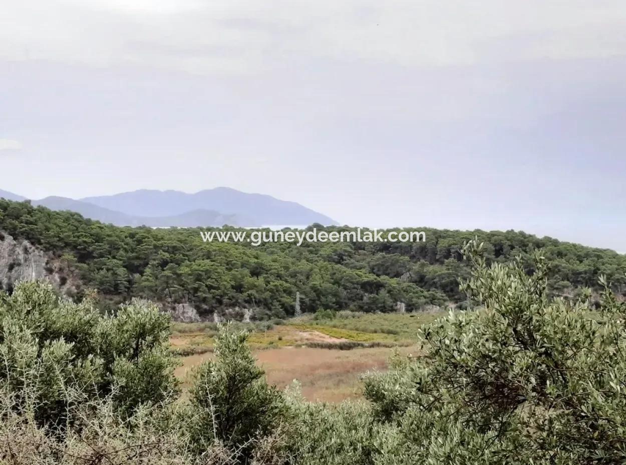 Plots With Sea View For Sale In Sarigerme Muğla