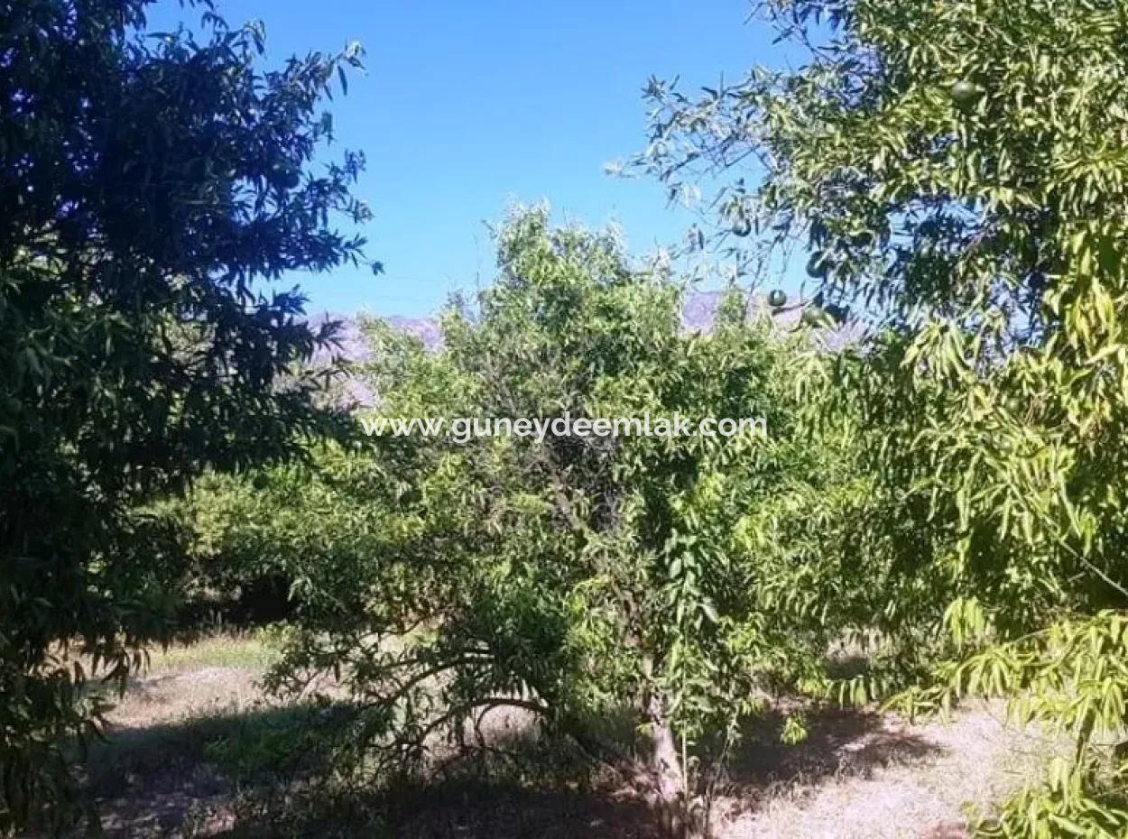 2 750 M2 Detached Land For Sale In Köycez Toparlar