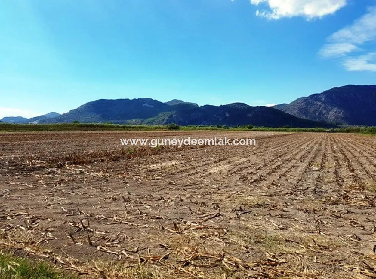 Fertile Bargain Land For Sale In Muğla Ortaca Güzelyurt