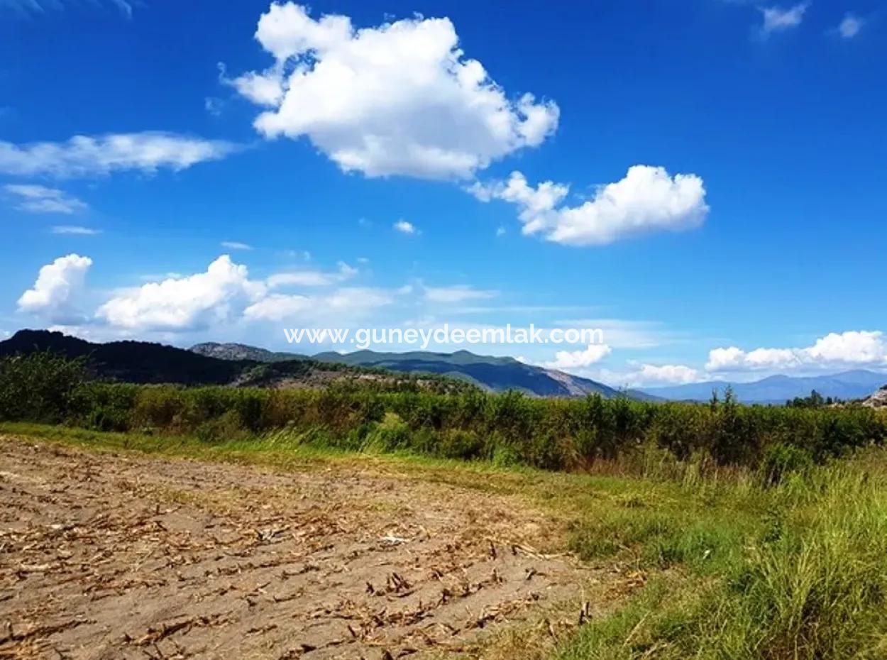 Fertile Bargain Land For Sale In Muğla Ortaca Güzelyurt