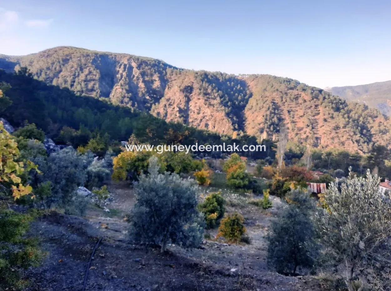 Mugla Dalaman Narli 1800 M2 Bargain Land For Sale