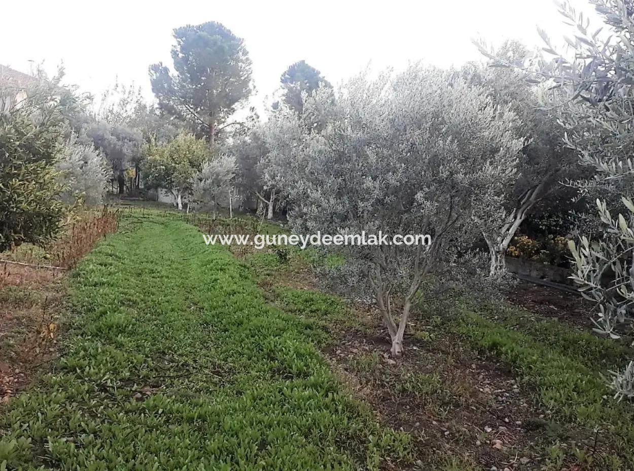 Zoning Plots With Lake Views For Sale In Köyceğinz Toparlar