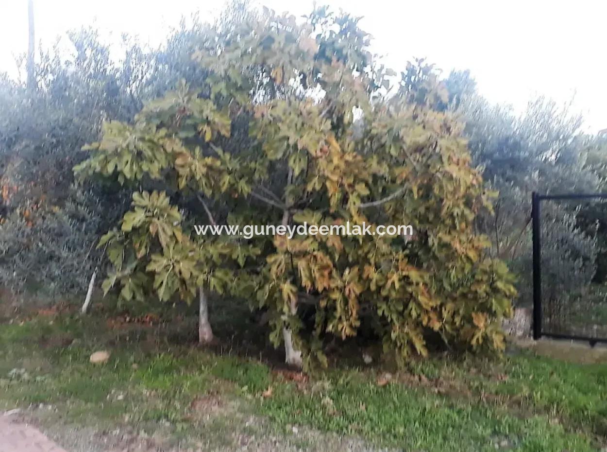 Zoning Plots With Lake Views For Sale In Köyceğinz Toparlar