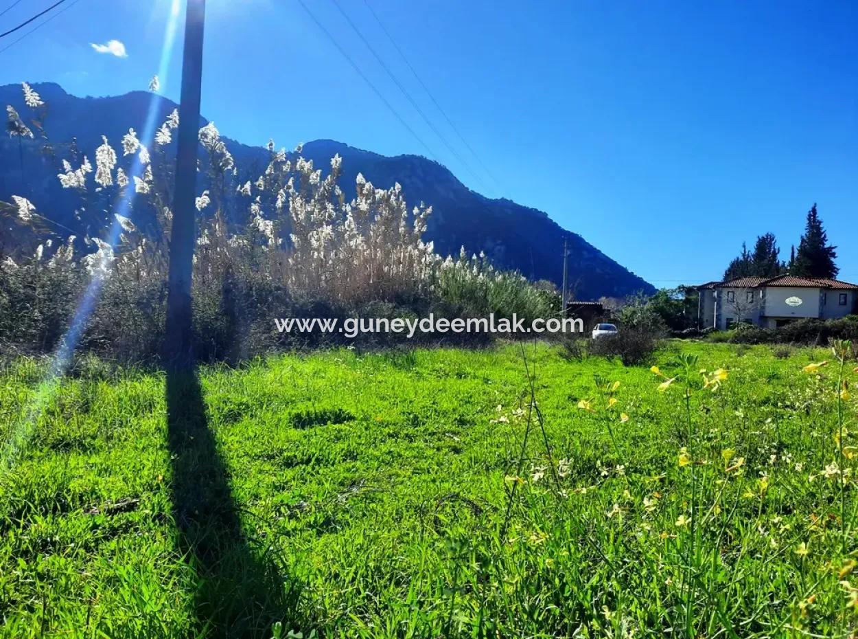 Mugla Ortaca Dalyan Is Also Fertile Land Suitable For 9 300 M2 Investment With Road Facades For Sale