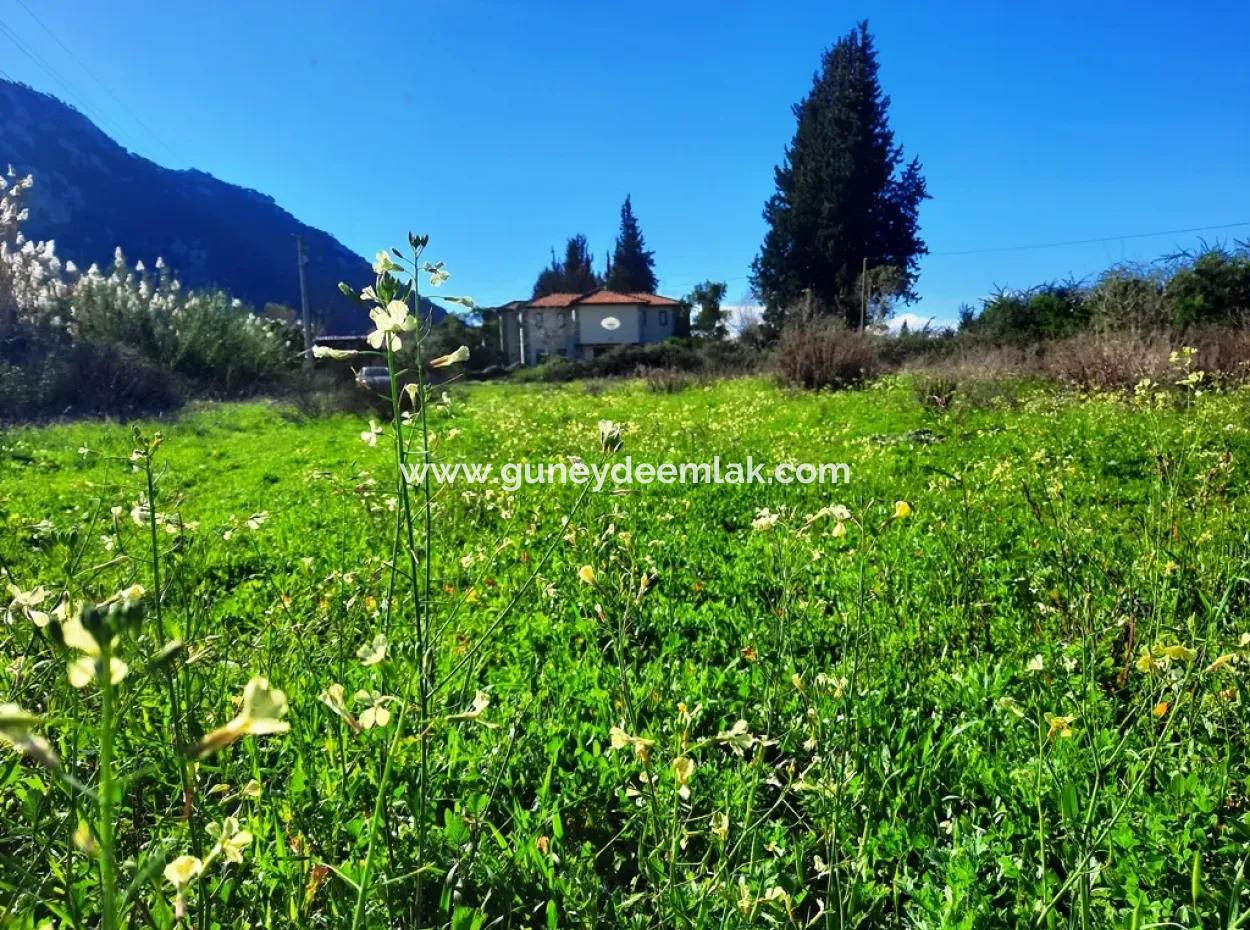 Mugla Ortaca Dalyan Is Also Fertile Land Suitable For 9 300 M2 Investment With Road Facades For Sale