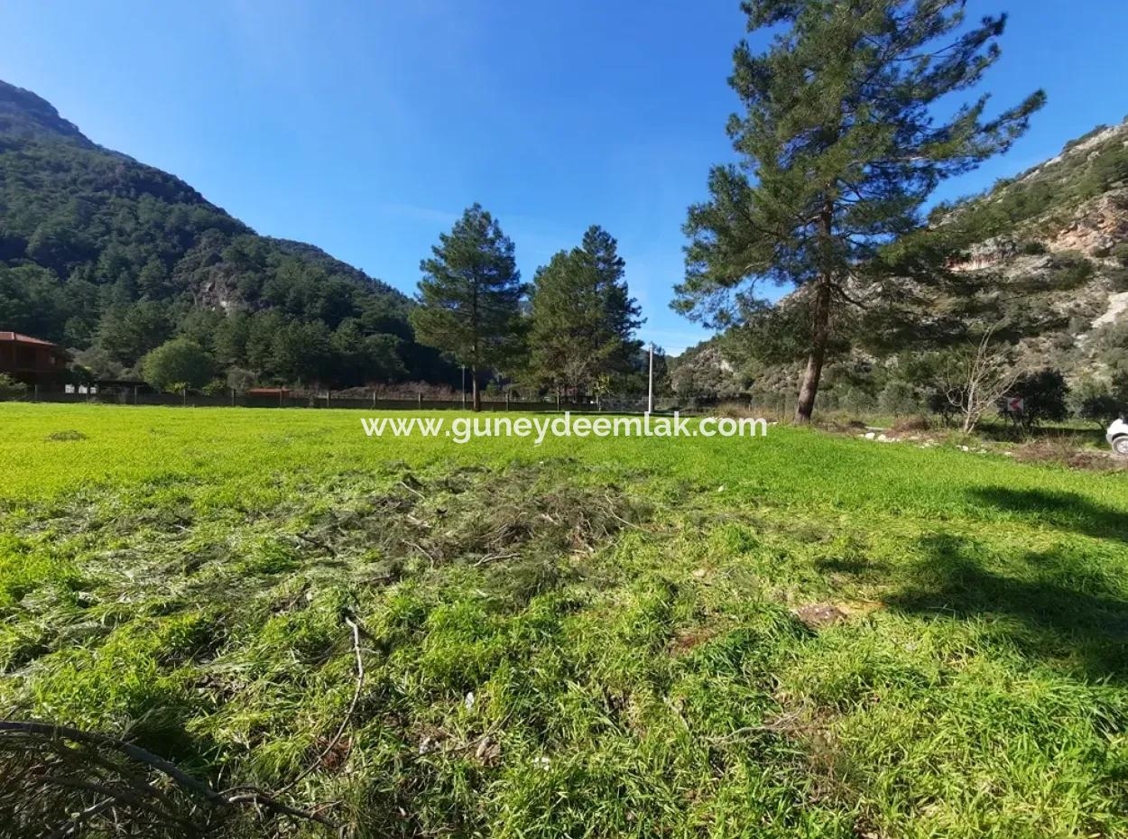 Mergenli For Sale In Ortaca Mountain Zero-Investment A Bargain Suitable Land