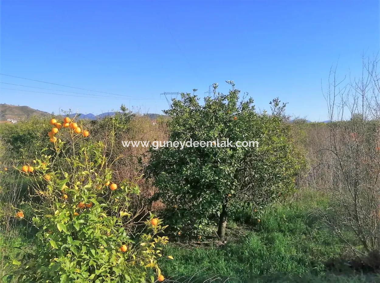 795 M2 30% Zoning Land For Sale In Ortaca Yerbelen