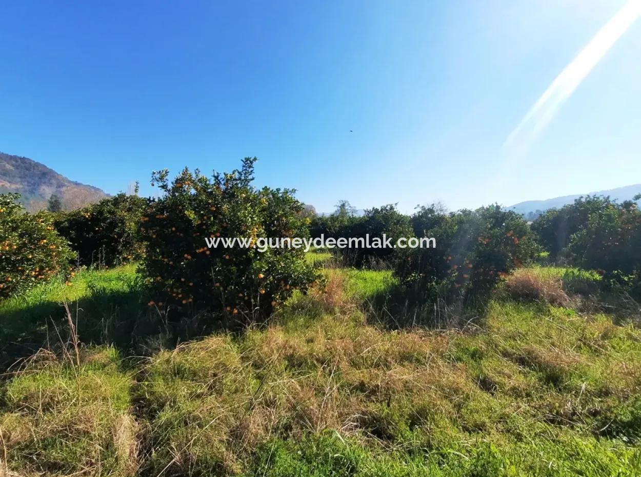 Mugla Archers Have 250 M2 Construction Rights For Sale On 1038 Plots