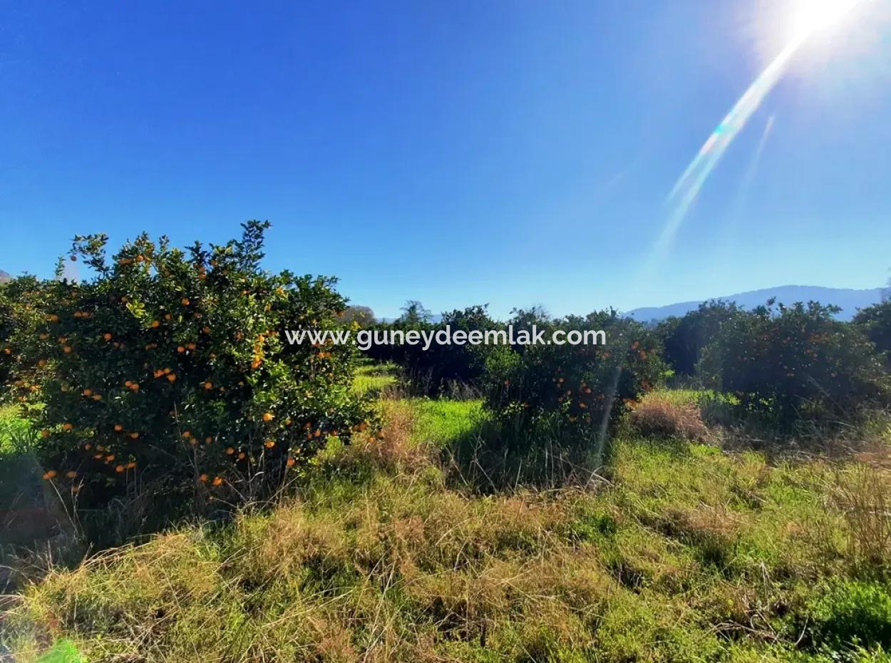 Mugla Archers Have 250 M2 Construction Rights For Sale On 1038 Plots