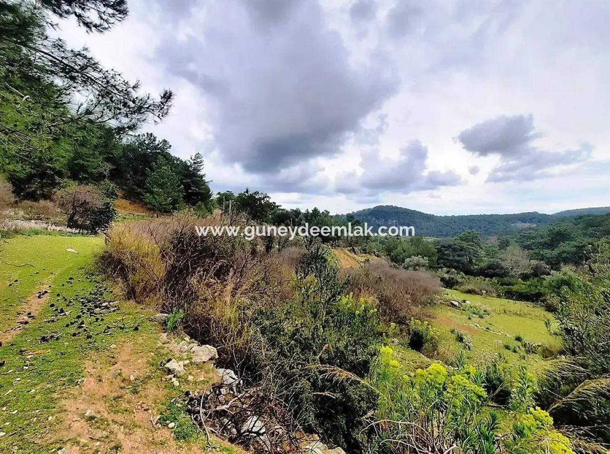 Dalyan Gökbel 13,100 M2 Field For Sale In Nature