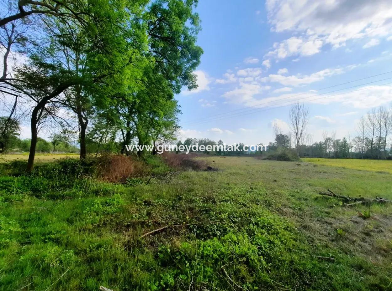 7668 M2 Bargain Land With Lake View For Sale In Köyceğiz Zeytinalani