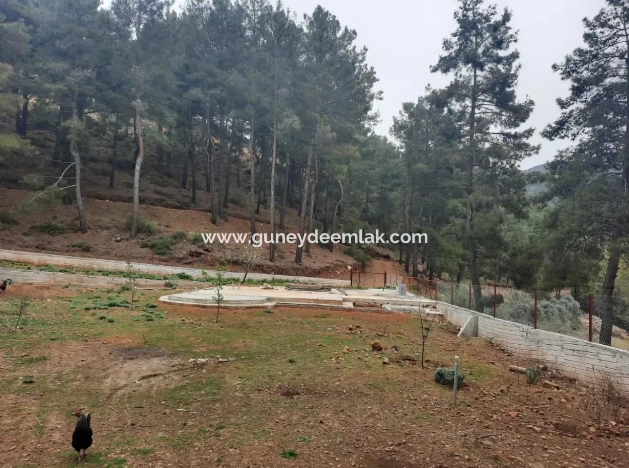 Köyceğinz Agla Yayla Opportunity 1050 M2 Zoning Land For Sale