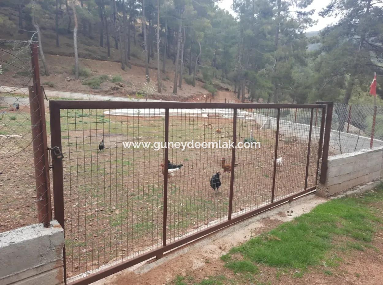 Köyceğinz Agla Yayla Opportunity 1050 M2 Zoning Land For Sale