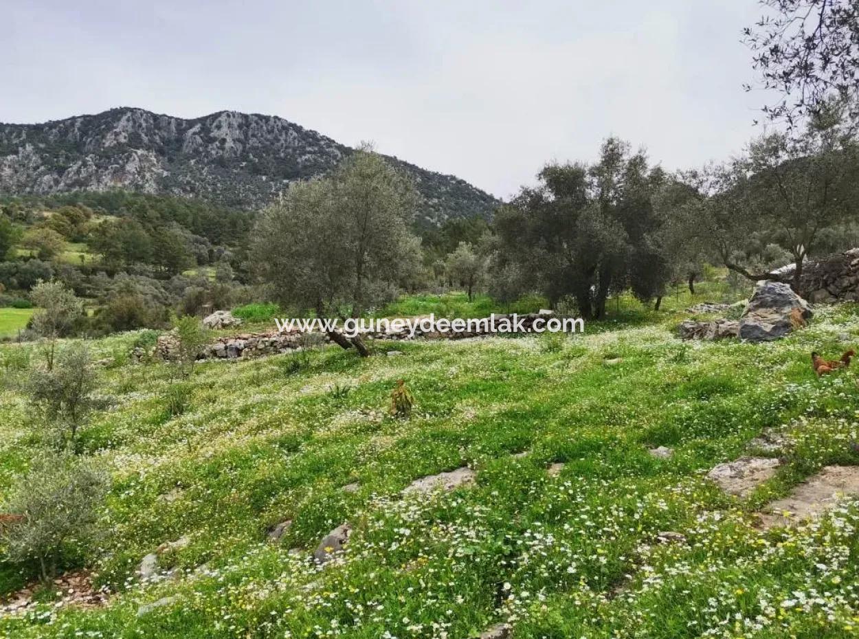 Detached Village House In Nature For Sale In Fethiye Gocek Taşbasi