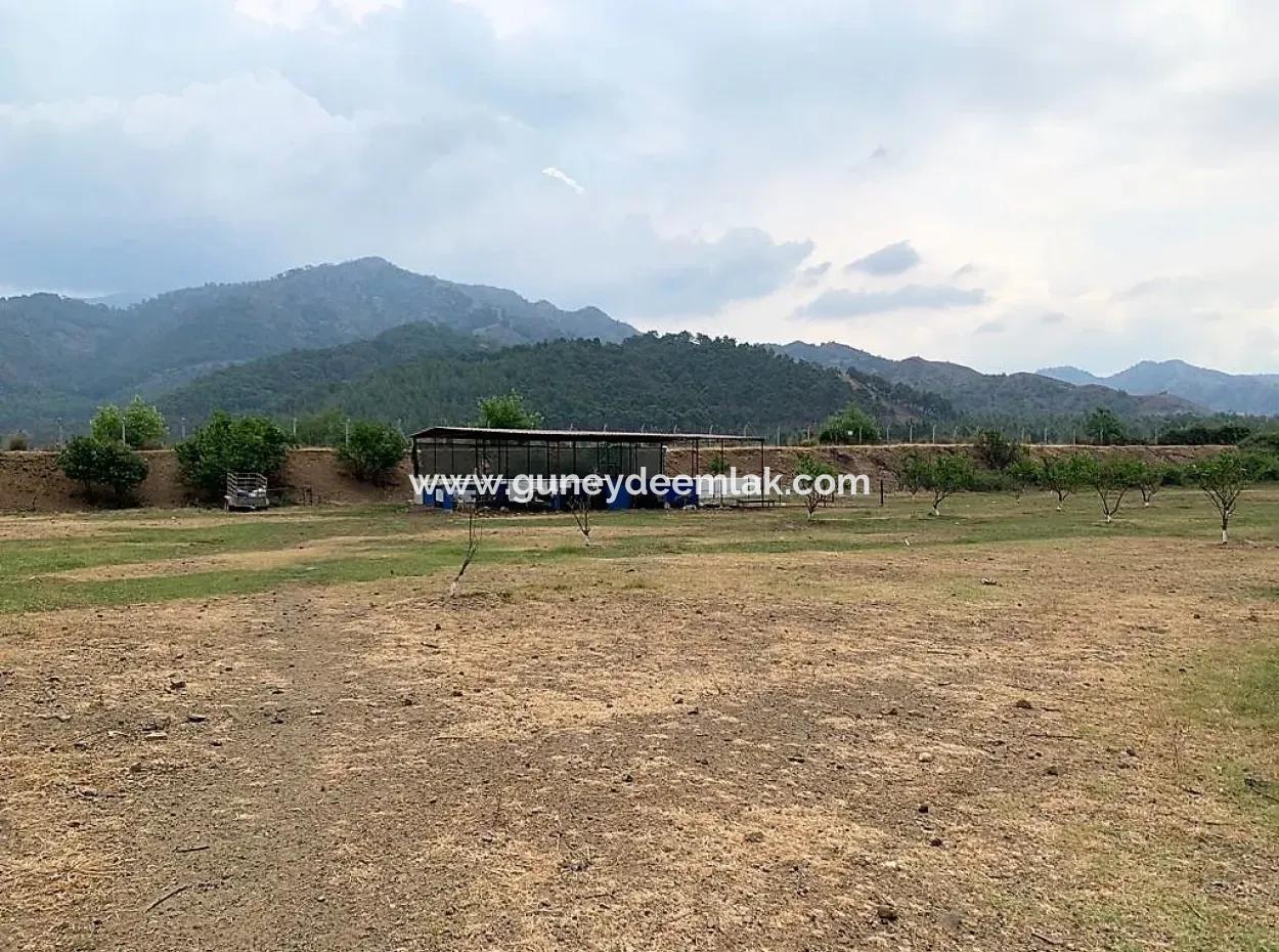 Tea Edge 10345 M2 Land And Detached House For Sale In Ortaca Çaylı Pine Forest
