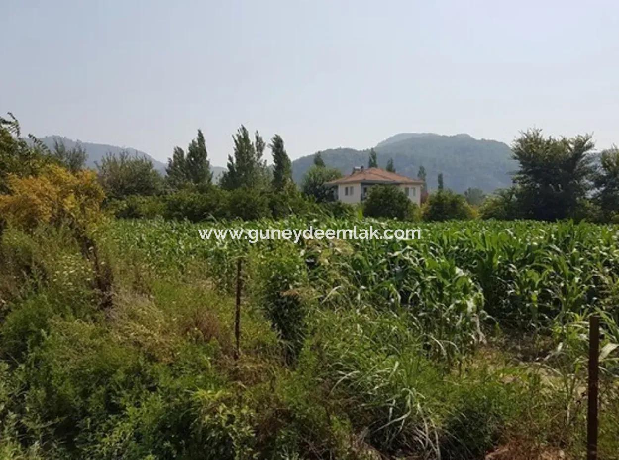 Detached 15000 M2 Fertile Land For Sale In Mugla Ortaca Archers