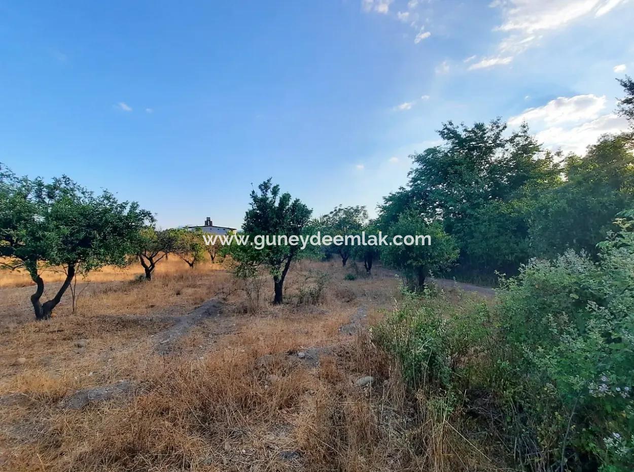 1080 M2 Zoning Land For Sale In Köyceğiz Toparlar